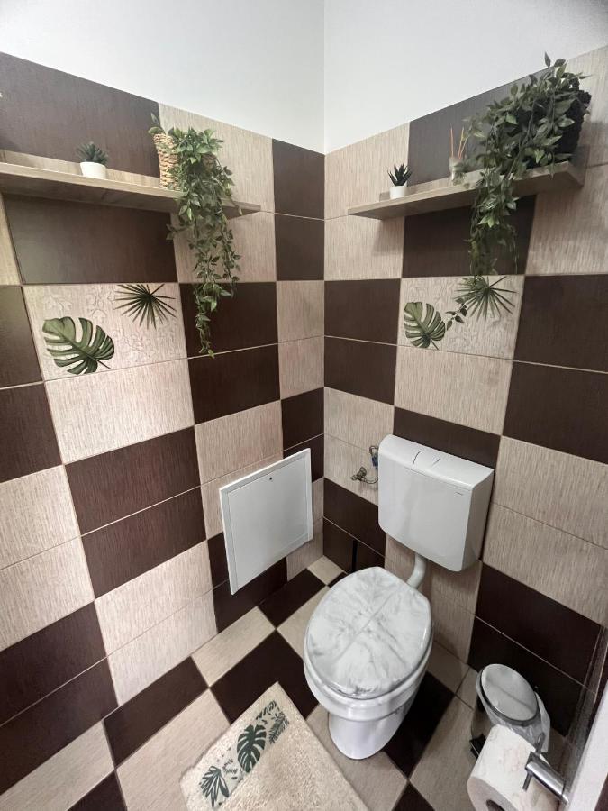 Apartament Natura City Center Studio Braszów Zewnętrze zdjęcie